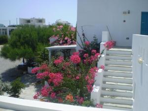 Kolona Studios Naxos Greece