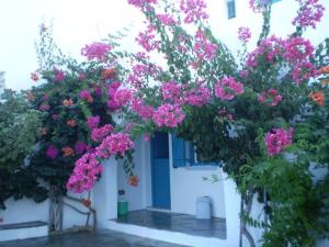 Kolona Studios Naxos Greece