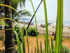Alegro Beach Homes