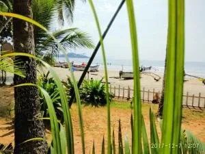 Alegro Beach Homes - 帕罗林