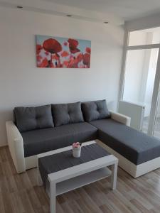 Apartment Alex Miramare 