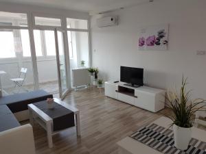 Apartment Alex Miramare 