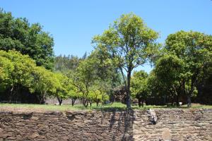 Tapada De Sao Domingos