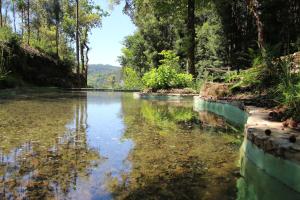 Tapada De Sao Domingos