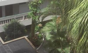 Ap. portaria 24 hsárea de lazerItagua