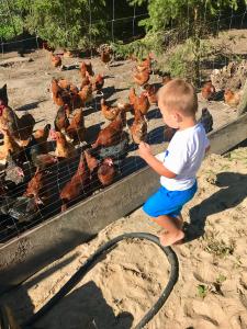 Agroturystyka nad jeziorem Silickim Ilińscy