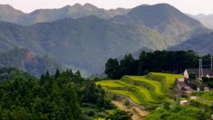 Homestay at Remote Organic Farm