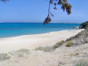 Villa Matina Naxos Greece