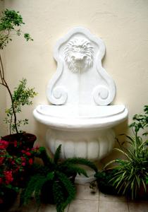 The Suites at Calle Nueva