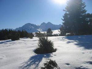 Chalets Les GITES DE CAMPARAN - gite 