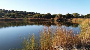 AGRITURISMO SA è PADEDDA img34