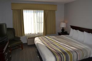 One-Bedroom King Suite room in Country Inn & Suites by Radisson Gurnee IL