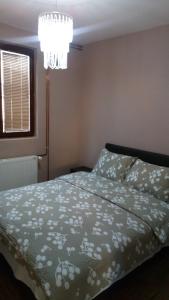 Apartment - Ground Floor room in Apartments Novakovic