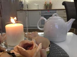 Family & Business Sauna Apartments Sienkiewicza No1 Centrum Plac Lliteratów- Piękny Apartament - 1 Bedroom with Private Sauna, Bath with Hydromassage, Parking