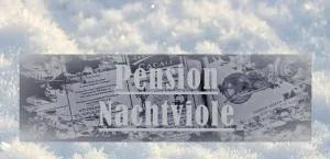 Pension Nachtviole - 普法尔韦尔芬