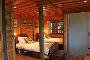 Treks, Trips and Trails