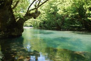 Hotel Faraggi Zagori Greece