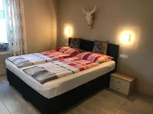 Kössen DORF41 TOP2 - Kössen