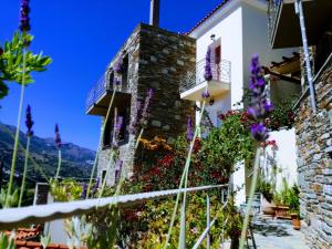 Rastoni Apartments Andros Greece