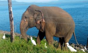 Summerland Residence