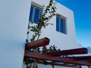 Antheia Suite of Mykonos Myconos Greece