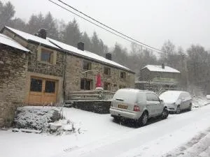 Lesse matinal - ريدو