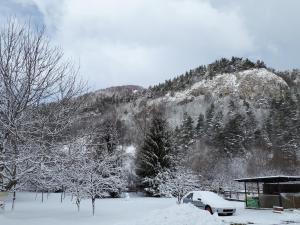 Pensiunea Alpin