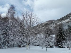 Pensiunea Alpin