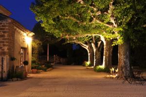 Maisons de vacances Le Mas Terre Des Anges Gite : photos des chambres