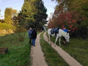 B&B / Chambres d'hotes Le jardin de Saint Jean : photos des chambres