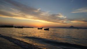 Patras Palm Tree Achaia Greece