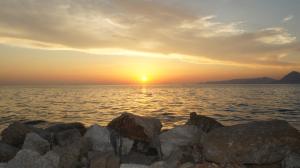 Patras Palm Tree Achaia Greece