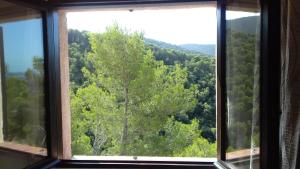 Appartements Le Balcon d'Azur : photos des chambres