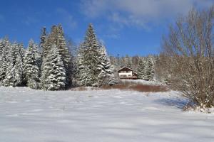 Chalets LE CHALET VOSGIEN bain nordique Kota Grill : photos des chambres