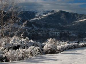 Appartement Lotte Familie Grünberger