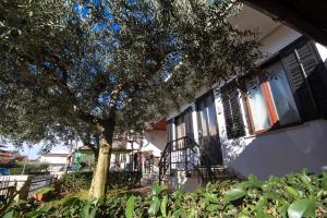 JASNA house with apartment