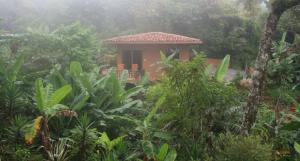 The Casita at The Boquete Hacienda