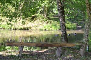 B&B / Chambres d'hotes Le Ranch Amadeus : photos des chambres