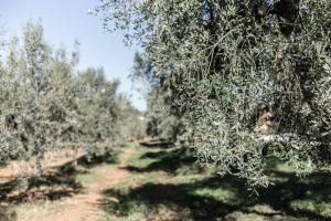 Agriturismo Podere LAgave