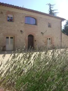 Agriturismo La Segolina - Strove