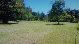 Cabañas Llifenativo