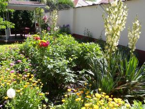 Apartment Siofok, Lake Balaton 3