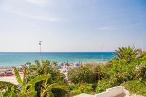 Arce Torrecilla Nerja