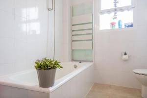 Carabeo Rocamar Nerja