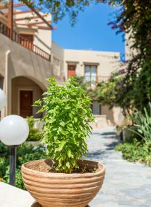 Indigo Mare Chania Greece