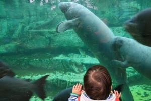 Les Chalets De Mur De Sologne