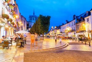 Hotels Logis Hotel Restaurant Lanex Amboise : photos des chambres