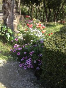 L'Ecrin D'Osely photo 21