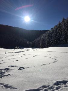 Maisons de vacances Gite Du Montagnol A Payolle : photos des chambres