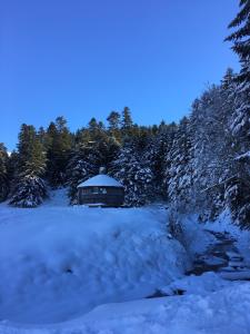 Maisons de vacances Gite Du Montagnol A Payolle : photos des chambres